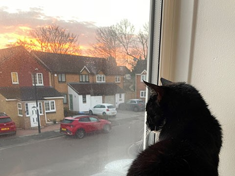 イギリス・ロンドンの留学の様子