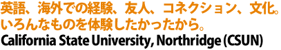 英語、海外での経験、友人、コネクション、文化。いろんなものを体験したかったから。
California State University, Northridge (CSUN)