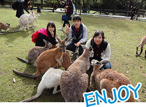 ENJOY