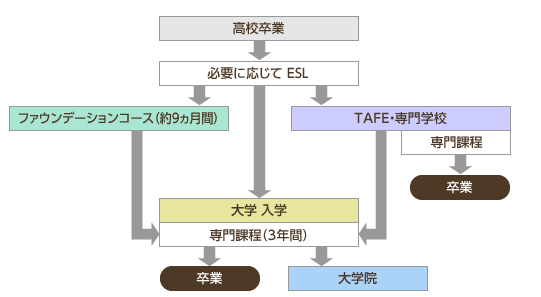 入学～卒業のステップ