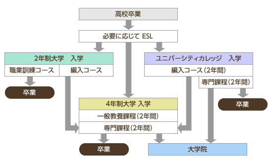 入学～卒業のステップ