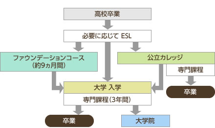 入学～卒業のステップ