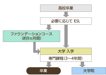 入学～卒業のステップ