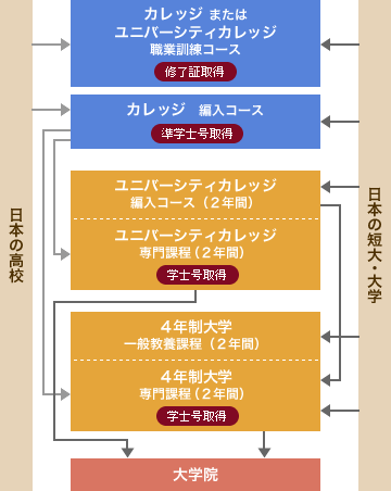 ＜カナダ＞大学進学モデル