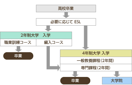 入学～卒業のステップ