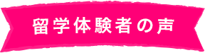 留学体験者の声